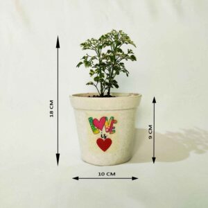 Gift for Love Ones with a Live Plant (Love is Love)