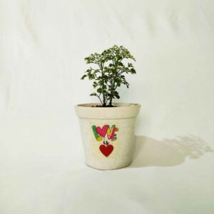 Gift for Love Ones with a Live Plant (Love is Love)