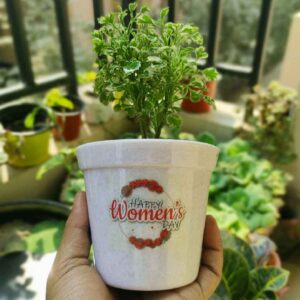 Gift for womens day