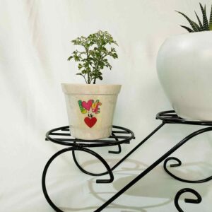 Gift for Love Ones with a Live Plant (Love is Love)
