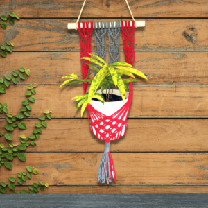 Macrame Plant Hanger (Red & Grey)