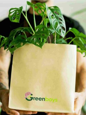 Greenboys Guwahati 24hr delivery