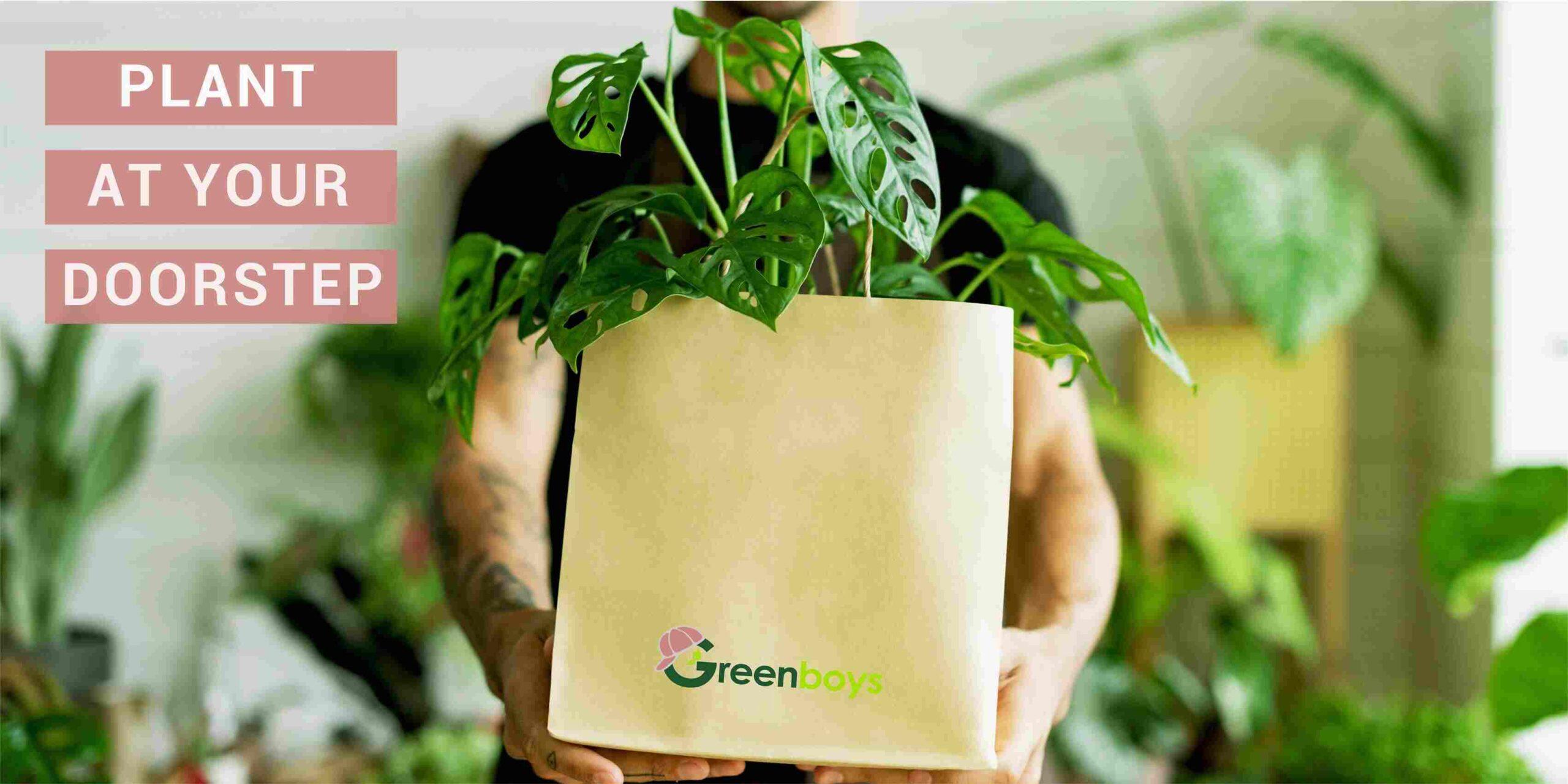 Greenboys Guwahati 24hr delivery
