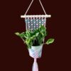 Macrame Plant Hanger (Tricolor)