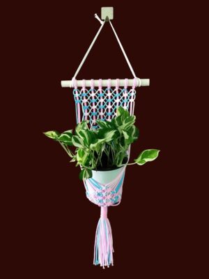 Macrame Plant Hanger (Tricolor)