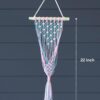 Macrame Plant Hanger (Tricolor)