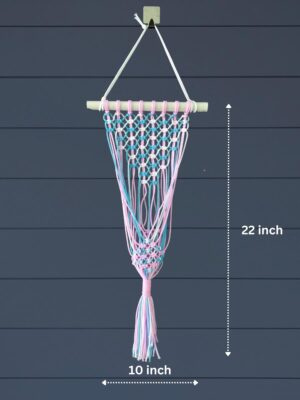Macrame Plant Hanger (Tricolor)