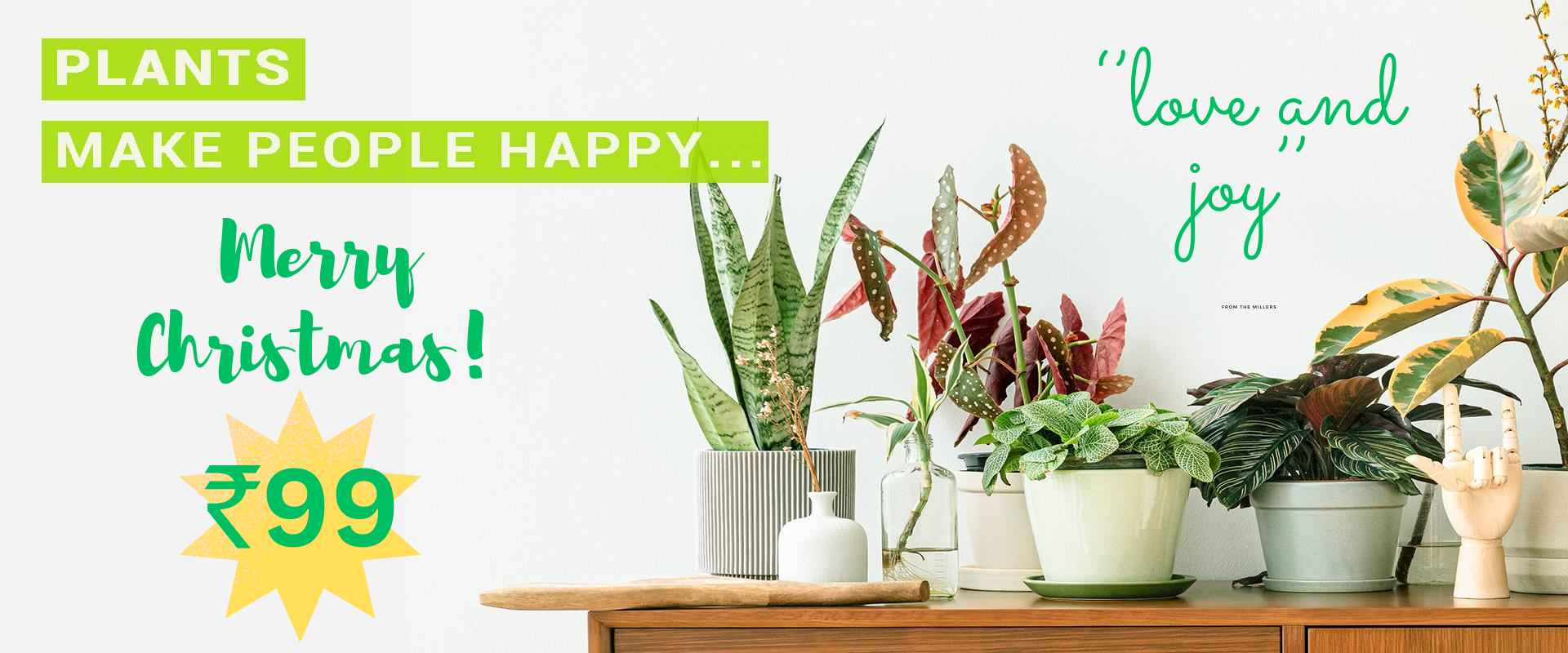 ‘’love and joy’’ GREENBOYS SELL OFFER